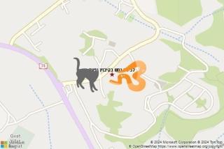 לוכד נחשים ב קיבוץ יפעת - לכידת נחש בקיבוץ יפעת