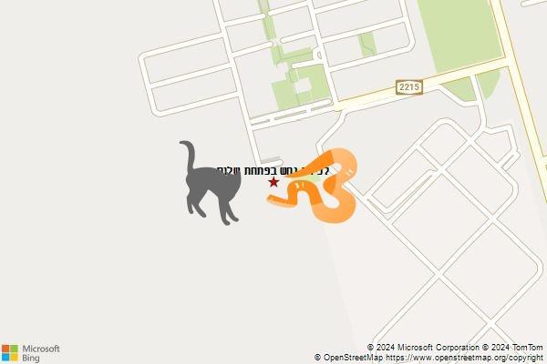 לכידת נחש בפתחת שלום