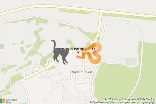 לוכד נחשים ב קיבוץ חצרים - לכידת נחש בקיבוץ חצרים