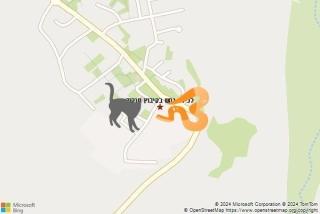 לוכד נחשים ב קיבוץ חוקוק - לכידת נחש בקיבוץ חוקוק