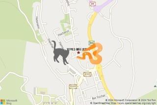 לוכד נחשים ב מירון - לכידת נחש במירון
