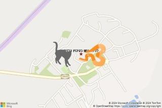 לוכד נחשים ב קיבוץ רבדים - לכידת נחש בקיבוץ רבדים