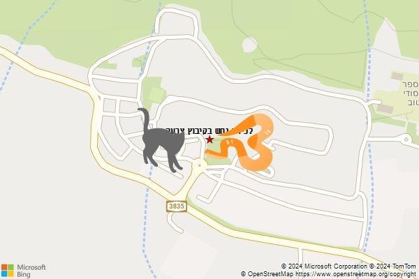 לכידת נחש בקיבוץ צרעה
