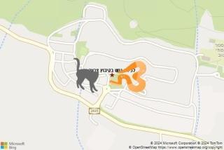 לוכד נחשים ב קיבוץ צרעה - לכידת נחש בקיבוץ צרעה