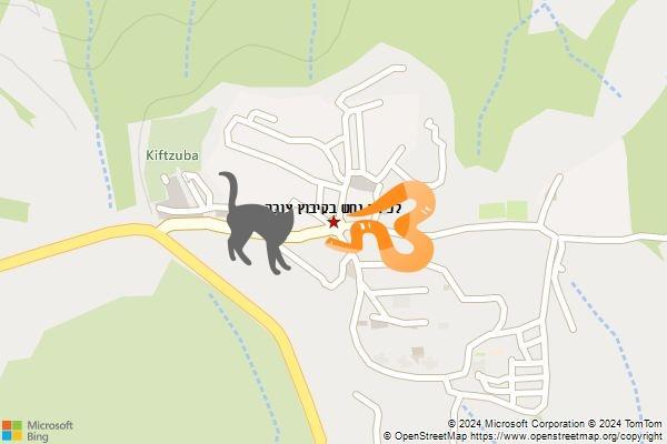 לכידת נחש בקיבוץ צובה