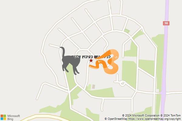 לכידת נחש בקיבוץ אלרום