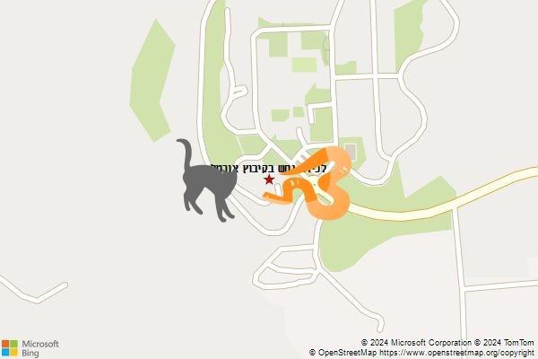 לכידת נחש בקיבוץ אורטל