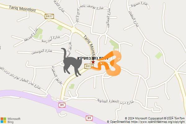 לכידת נחש במעיליא