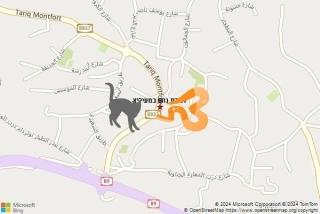 לוכד נחשים ב מעיליא - לכידת נחש במעיליא