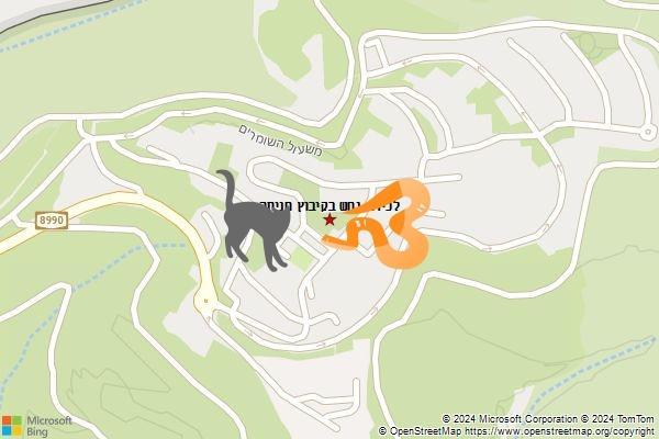 לכידת נחש בקיבוץ חניתה