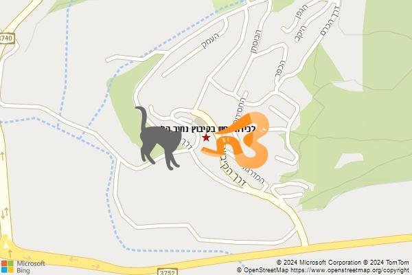 לכידת נחש בקיבוץ נתיב הלה