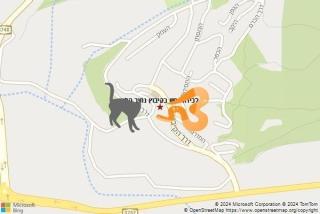 לוכד נחשים ב קיבוץ נתיב הלה - לכידת נחש בקיבוץ נתיב הלה