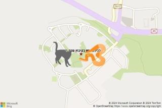 לוכד נחשים ב קיבוץ שדה יואב - לכידת נחש בקיבוץ שדה יואב