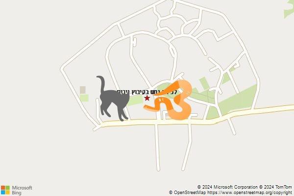 לכידת נחש בקיבוץ נירים