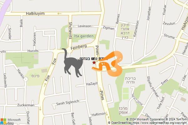 לכידת נחש בגדרה