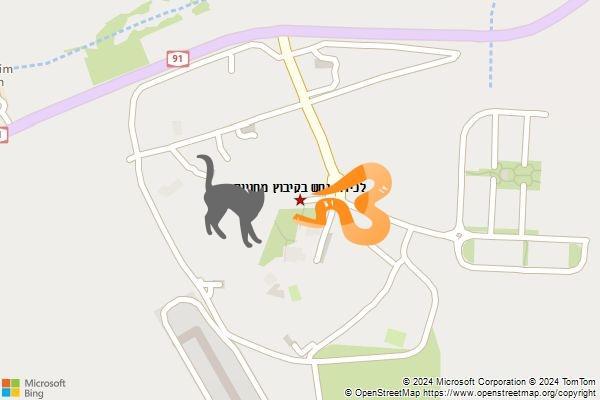לכידת נחש בקיבוץ מחניים