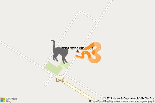 לכידת נחש בתלמי יחיאל