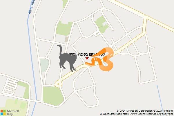 לכידת נחש בקיבוץ עמיר