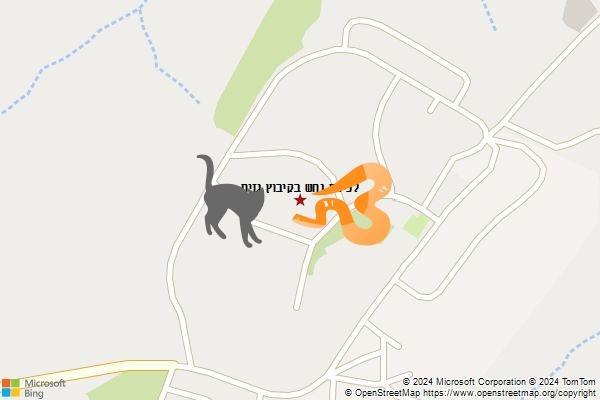 לכידת נחש בקיבוץ גזית