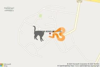 לוכד נחשים ב קיבוץ המעפיל - לכידת נחש בקיבוץ המעפיל