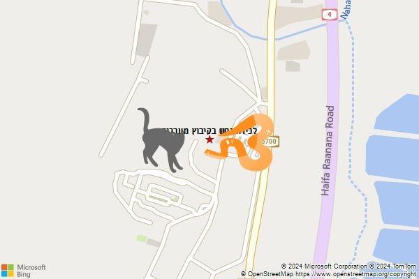 לכידת נחש בקיבוץ מעברות