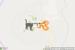 לוכד נחשים ב קיבוץ טללים - לכידת נחש בקיבוץ טללים