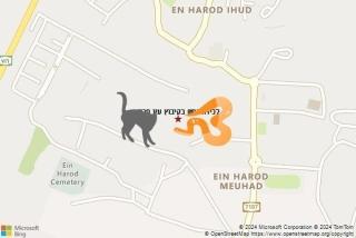 לוכד נחשים ב קיבוץ עין חרוד - לכידת נחש בקיבוץ עין חרוד