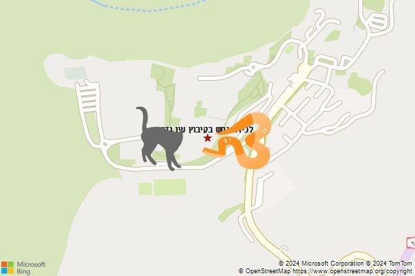 לכידת נחש בקיבוץ עין גדי