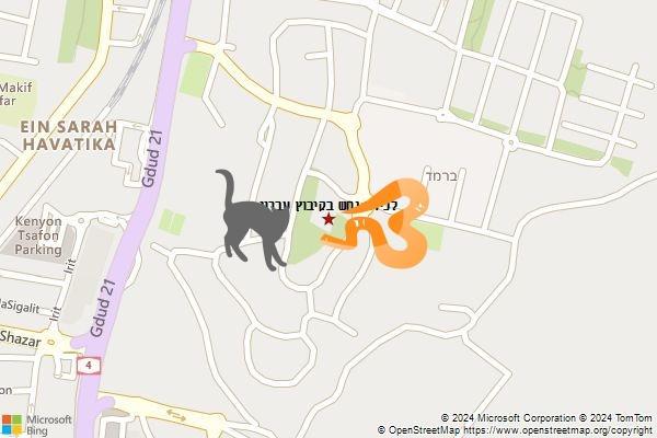לכידת נחש בקיבוץ עברון