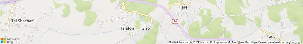 גיזו