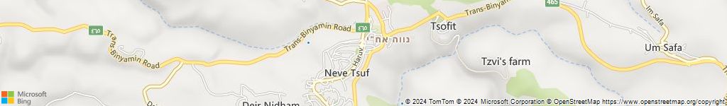 לוכדי נחשים בחלמיש