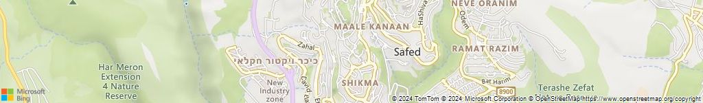 לוכדי נחשים בצפת